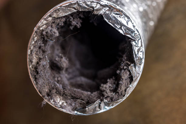 Best Air Duct Cleaning Near Me  in Coon Rapids, IA