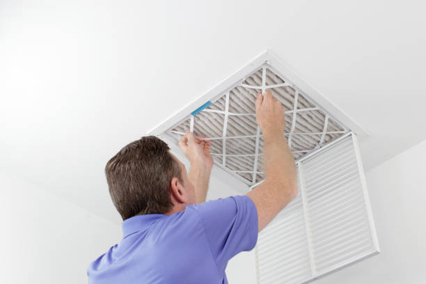 Best Air Duct Mold Removal  in Coon Rapids, IA